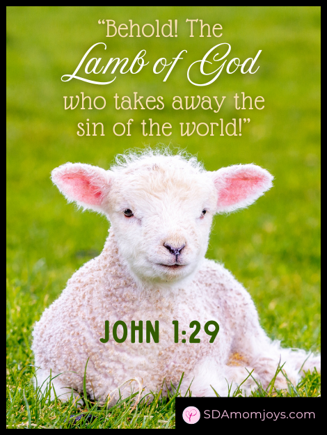 John 1 29 Lamb of God Bible Study verse