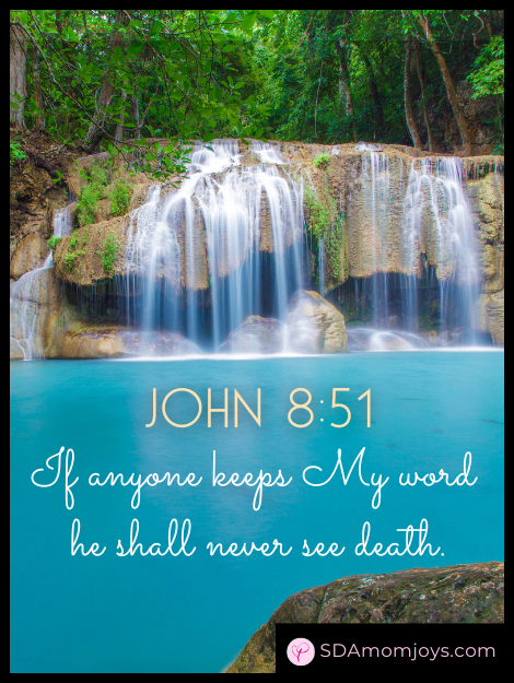 John 8 51 Bible Study verse waterfall